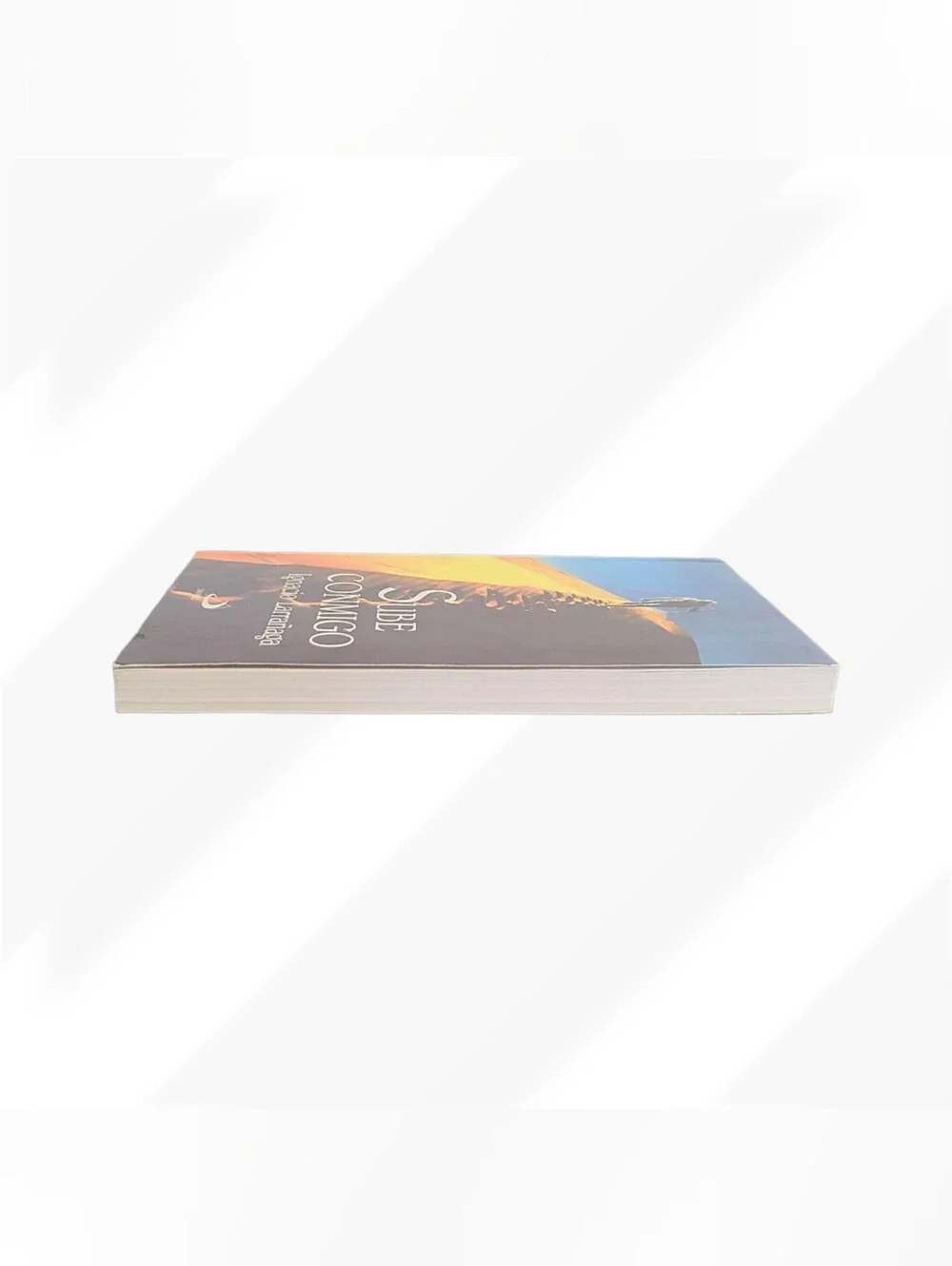 Sube Conmigo by Ignacio Larrañaga Spanish Spiritual Christian Book Paperback